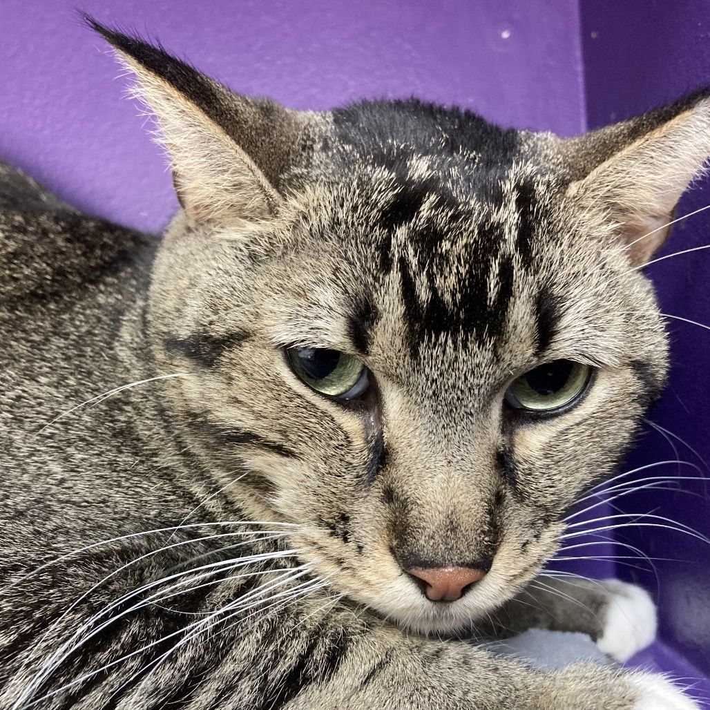 Hello my name is Ashwin