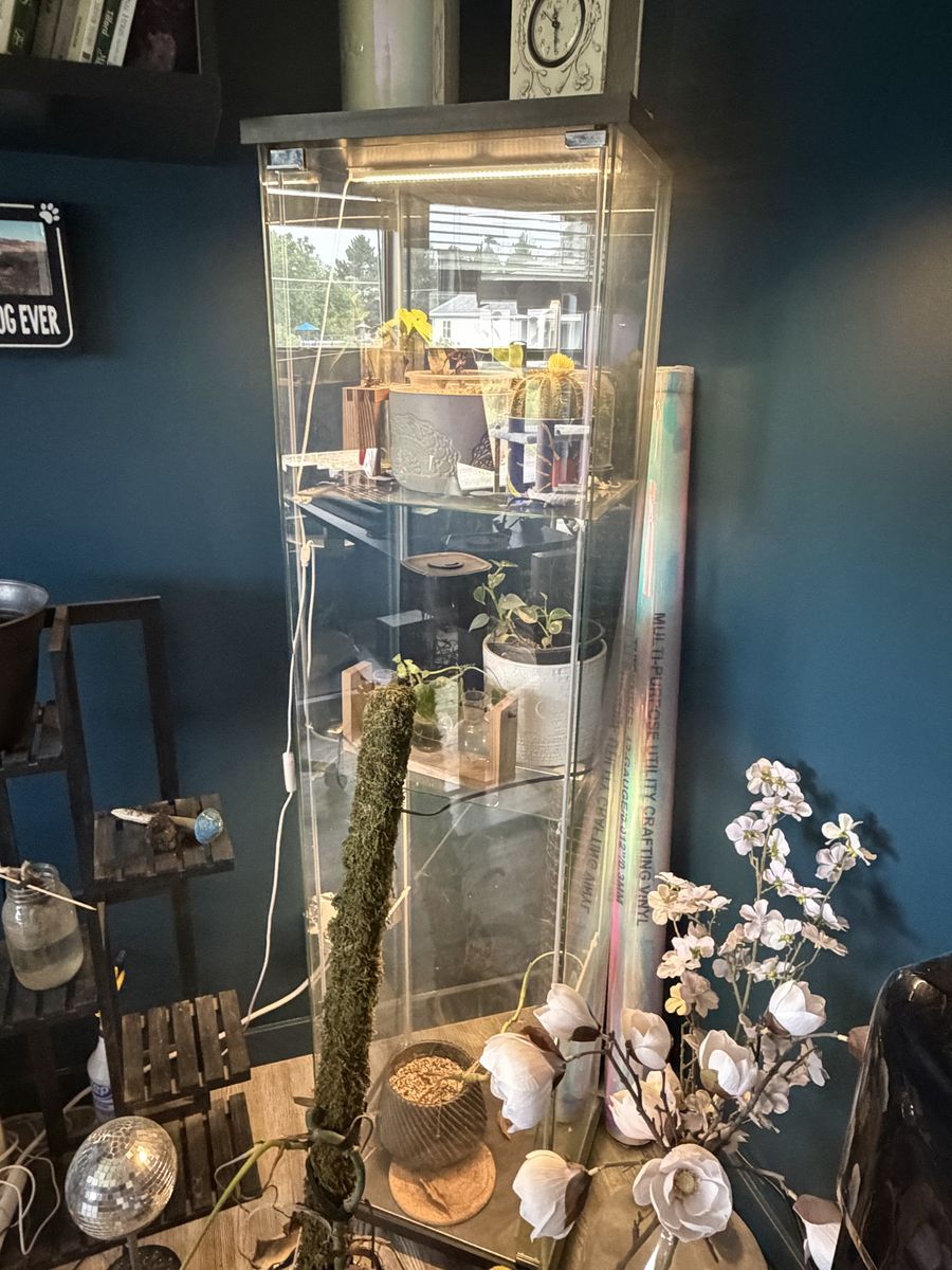 Glass plant cabinet with lights