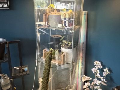Glass plant cabinet with lights