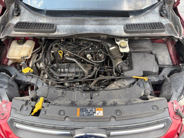Main image 33
