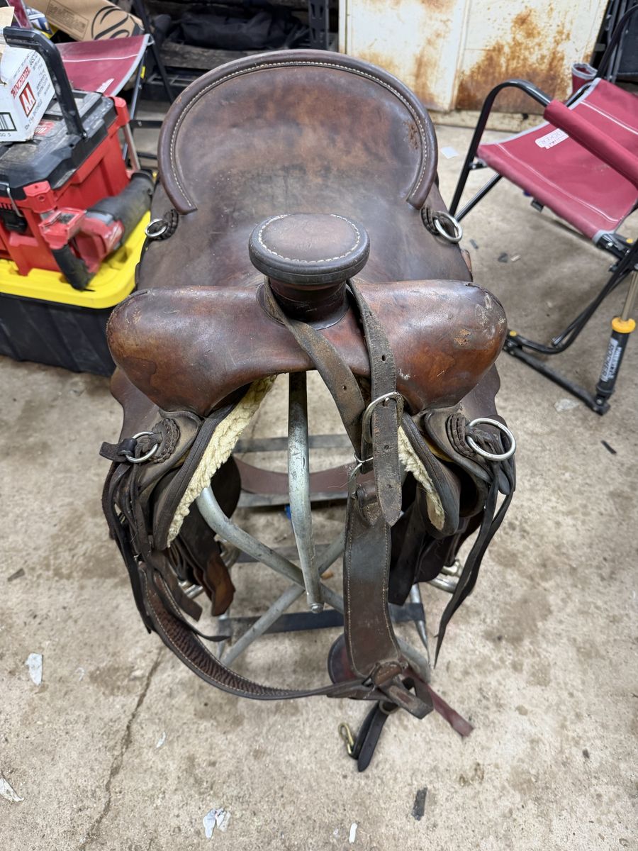 16 inch saddle
