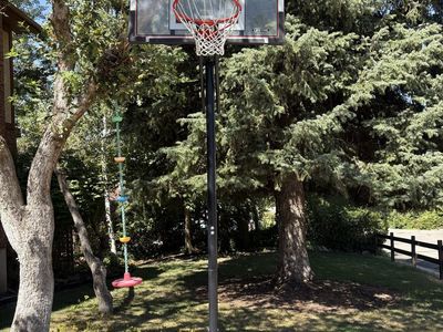 Lifetime Portable Basketball Hoop with Adjustable Height & Steel-Framed Shatterproof Backboard