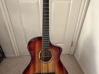 Breedlove Accoustic Electric Guitar