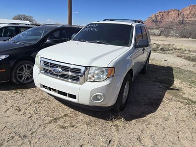 2009 FORD ESCAPE XLT