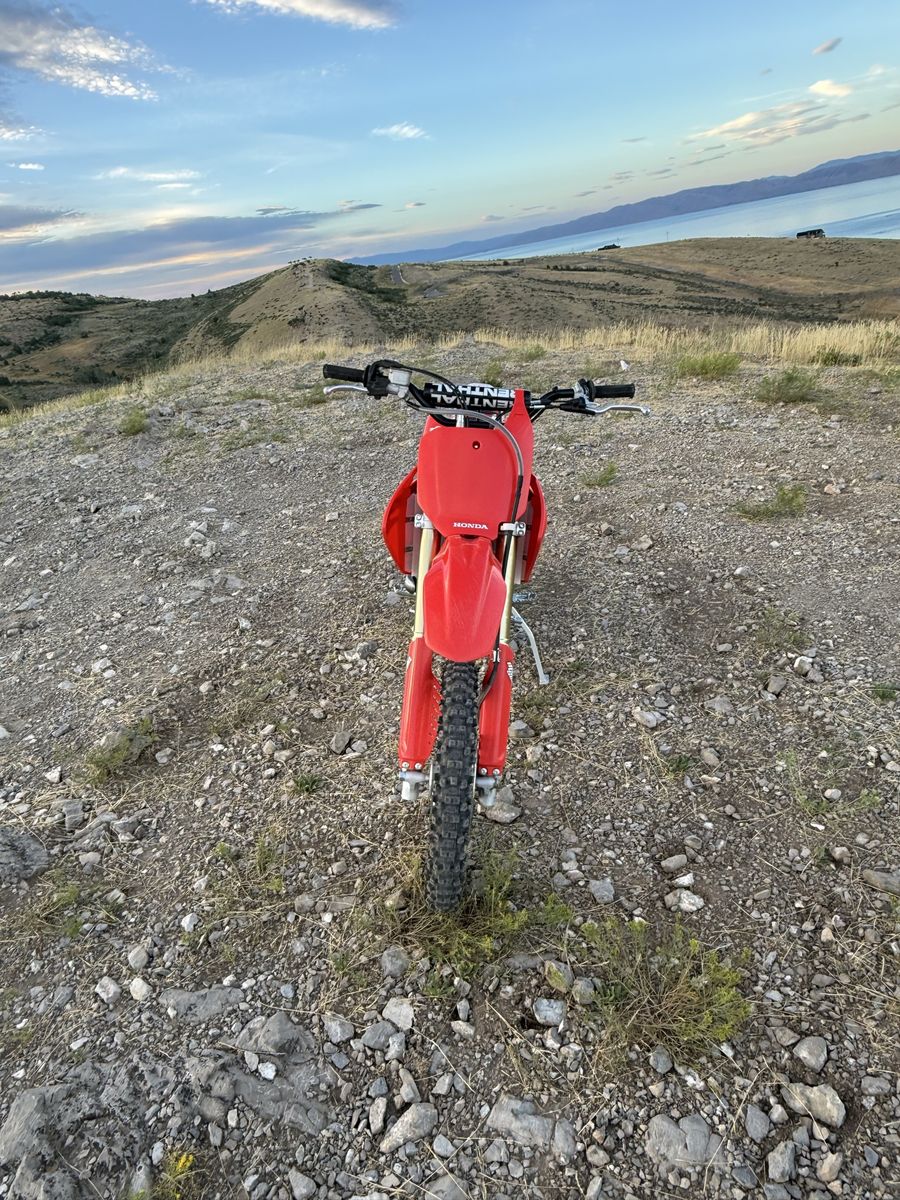 Main image 6