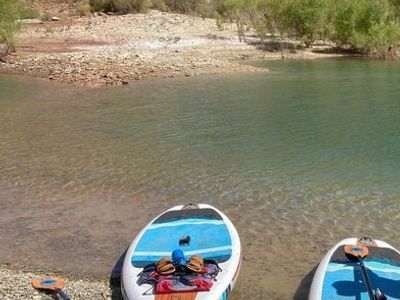 Paddle Board Rental