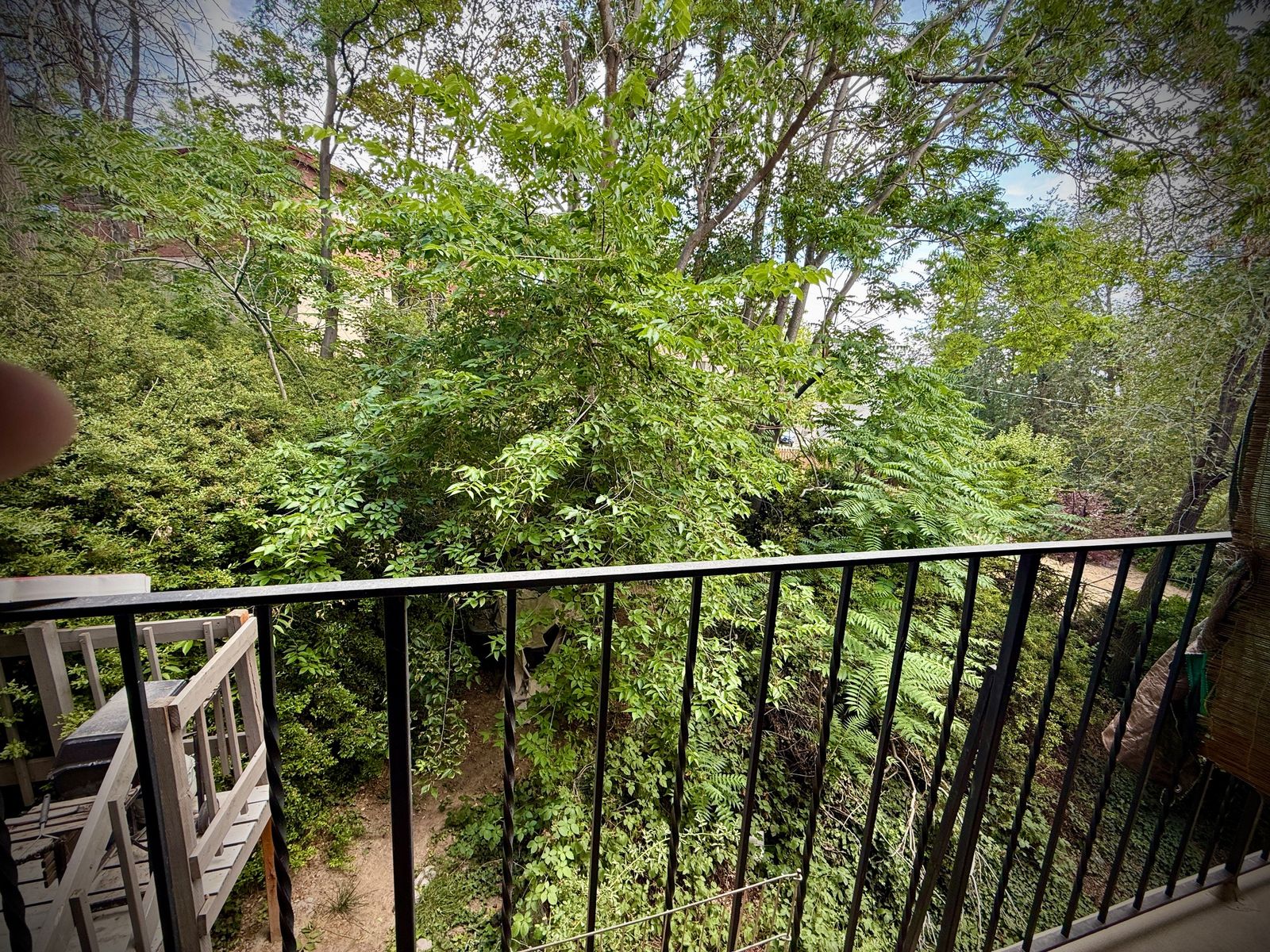 Main image 3