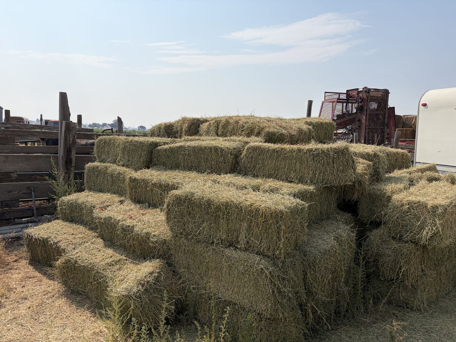 2026 alfalfa hay small bales 2 crop