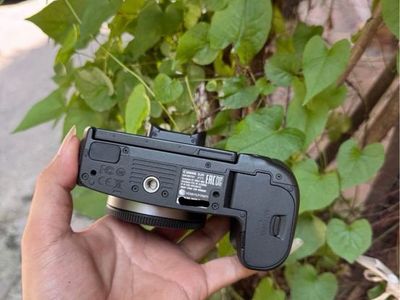 Canon R, Ef 100-400mm