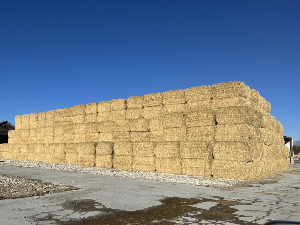 Wheat Straw  4x4x8