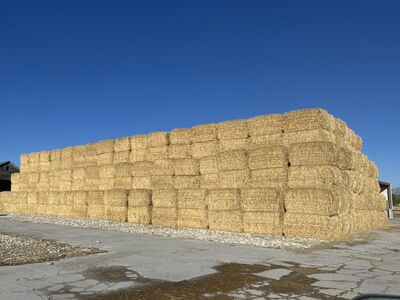 Wheat Straw 4x4x8