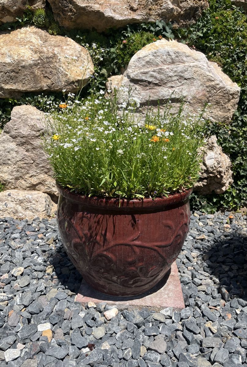 Main image 4