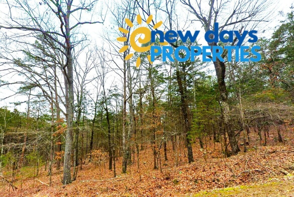 0.30-Acre Treed Land for Sale in Mountain View Arkansas