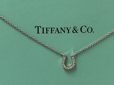 TIFFANY & CO. 18k White Gold VS Diamond Mini Horseshoe Pendant Necklace 0.08CT