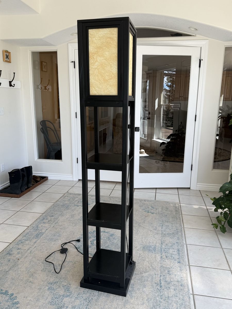 Black Modern Floor Lamp