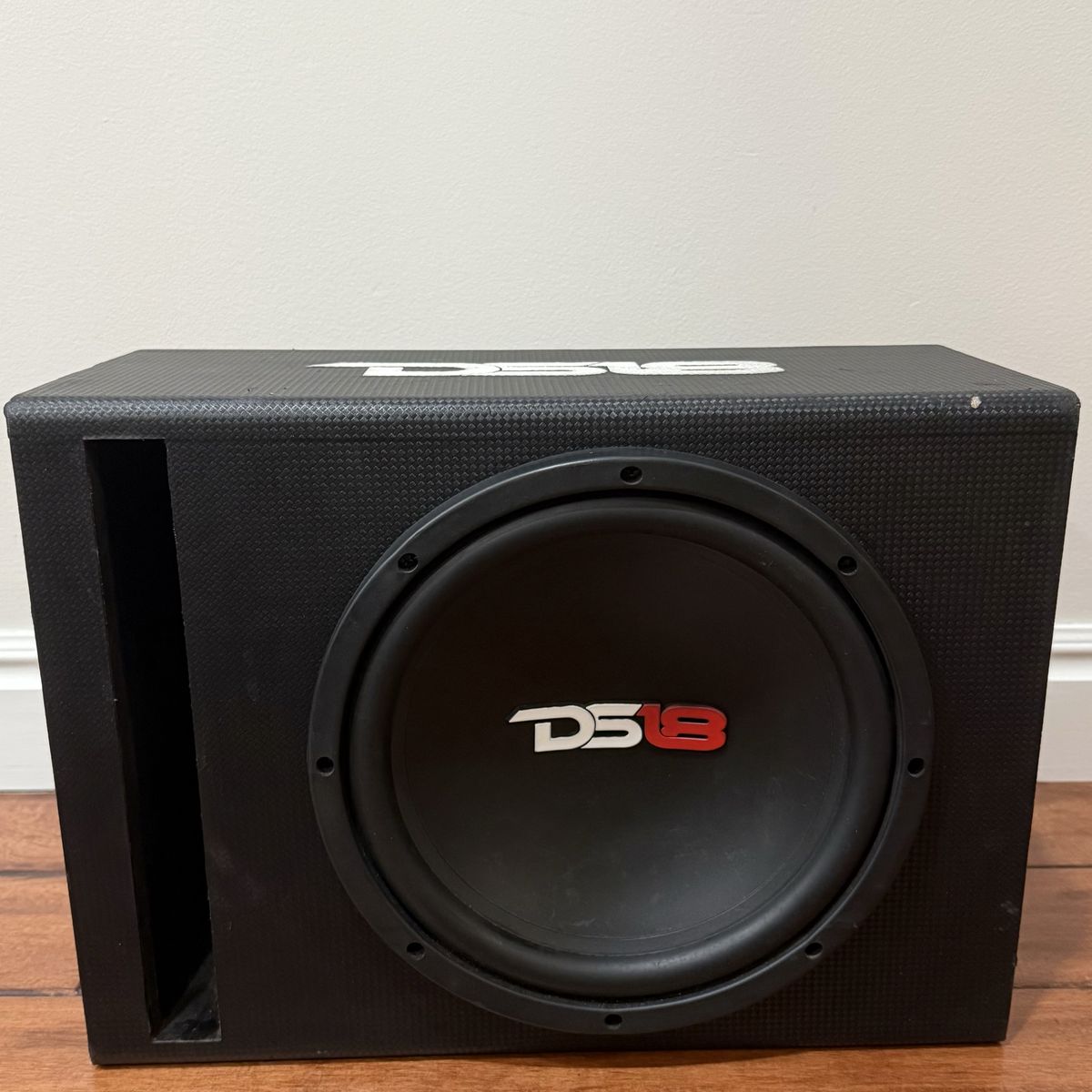 DS18 Car Subwoofer