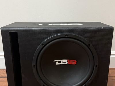DS18 Car Subwoofer