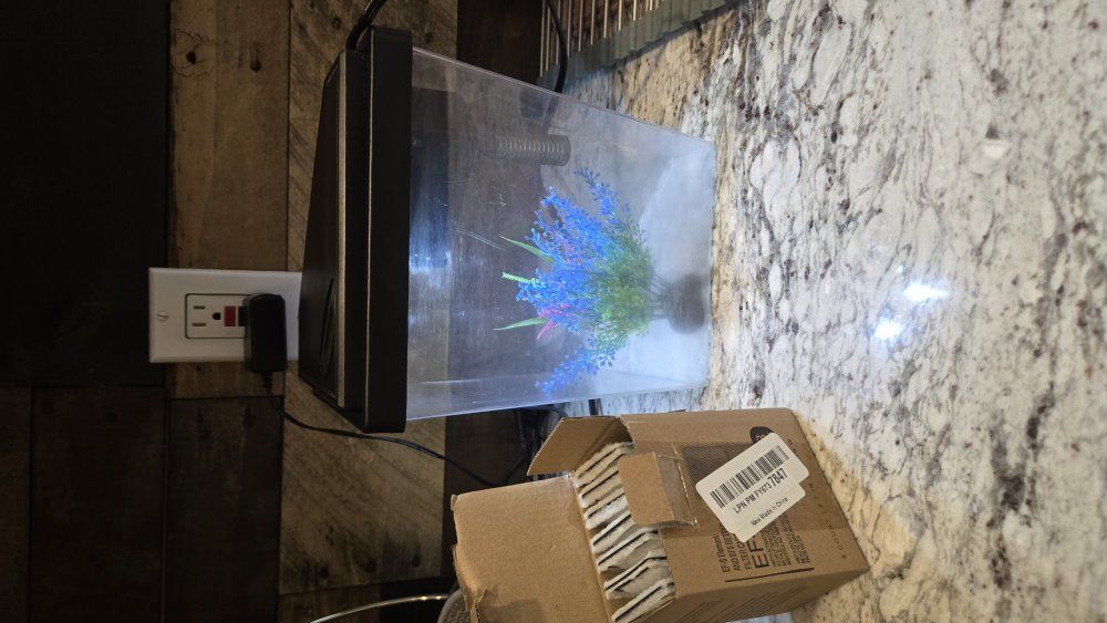 Top Fin Diamond 1-gal Aquarium tank