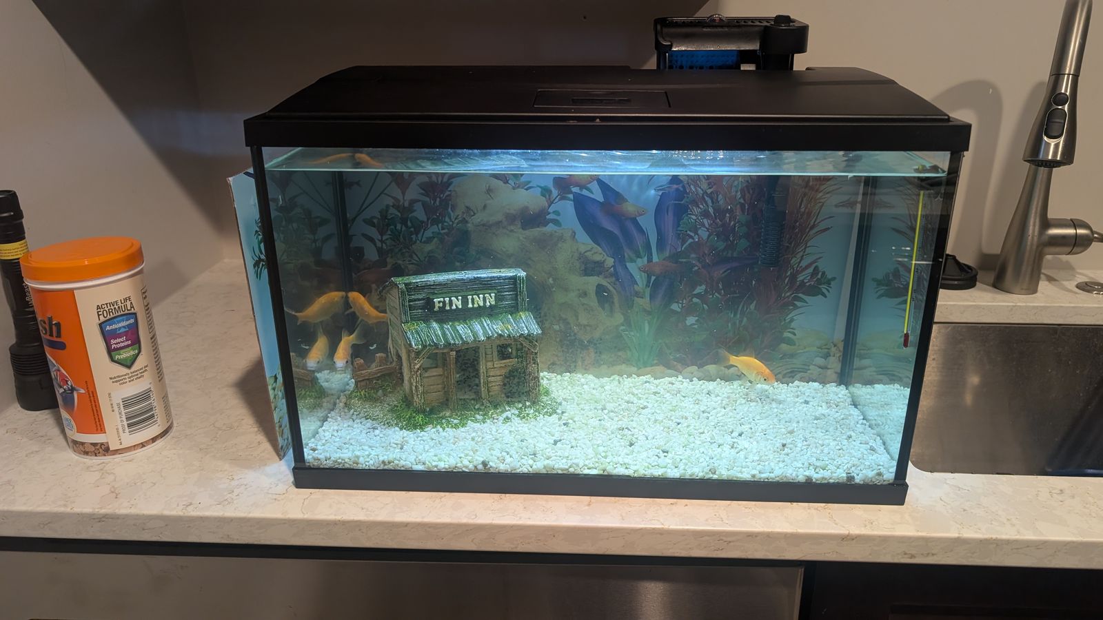 Fish tank 10 gal complete with food and filters
