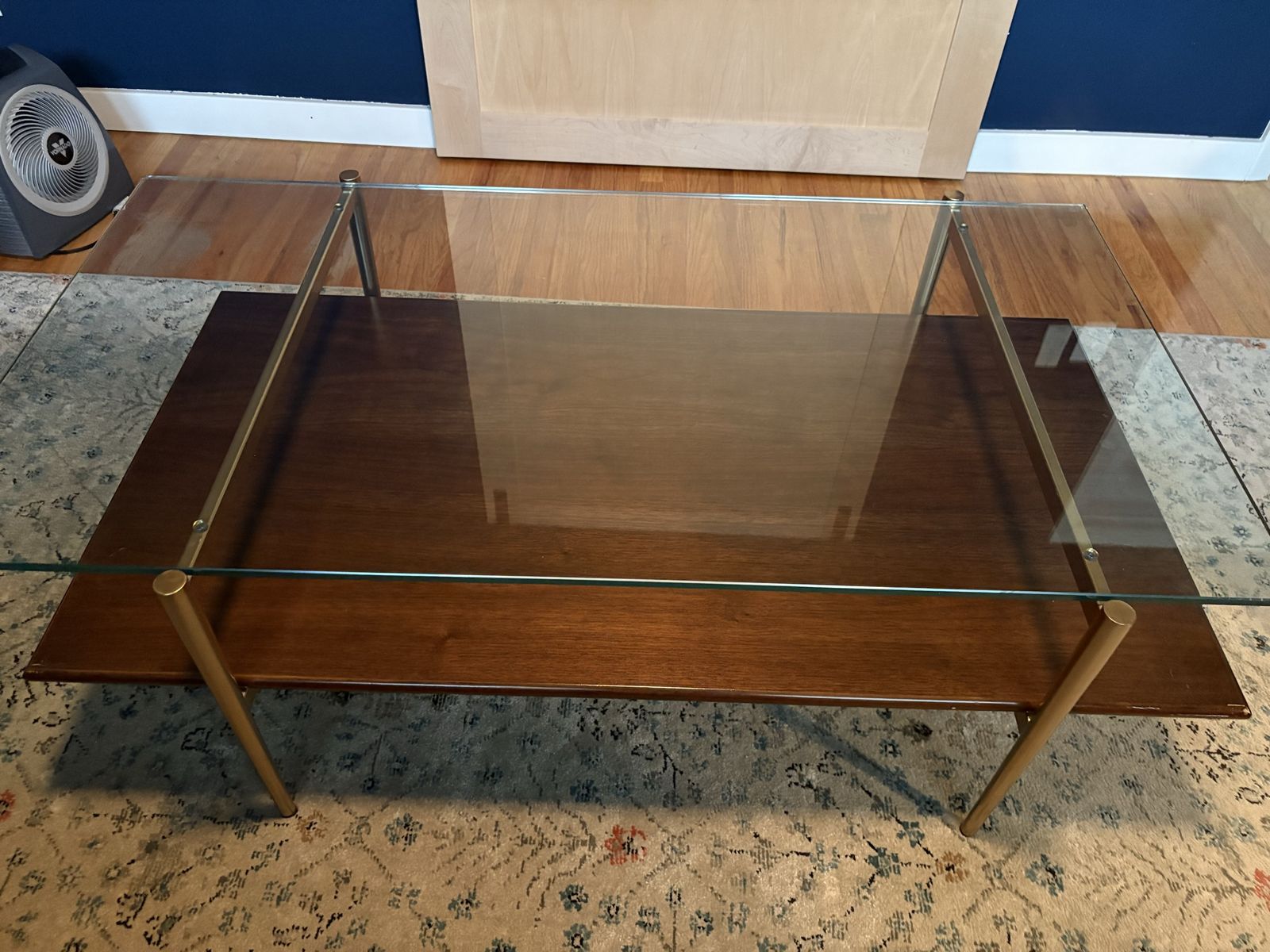 West Elm Mid-Century Art Display Coffee Table