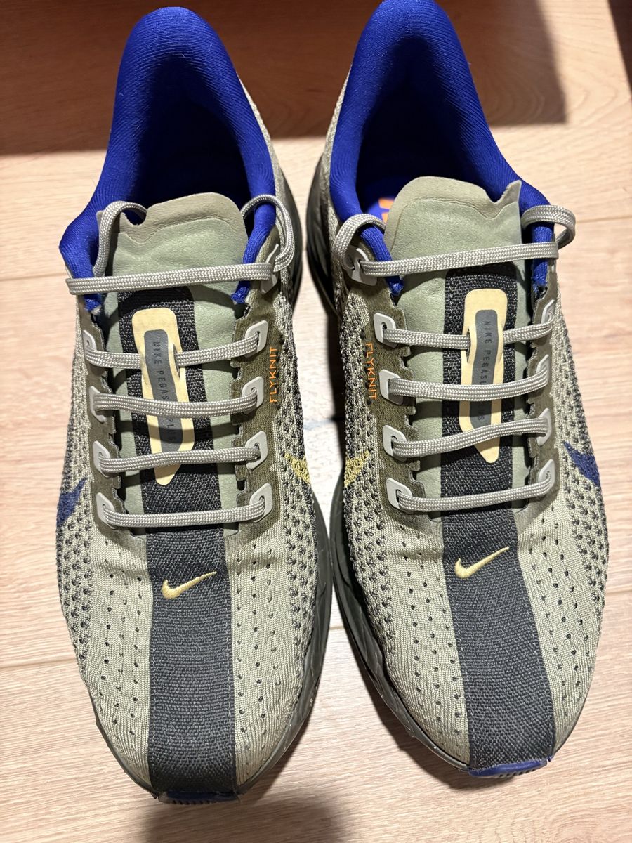 Nike Pegasus Plus Men's Running Shoes - Green/Blue, Size 9 - UsedGood