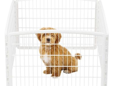 4-Panel 24" Pet Playpen, 35 x 35 x 24, White