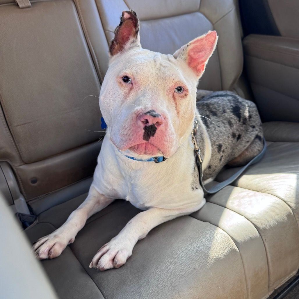 Hello my name is Kayak