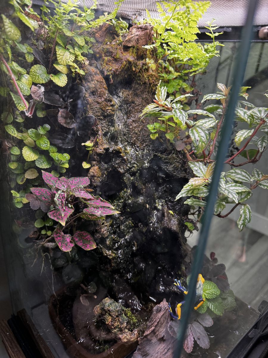 Main image 2