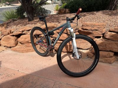Single Speed Mountain Bike