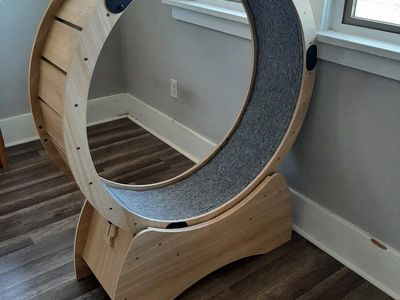 Cat Exercise Wheel