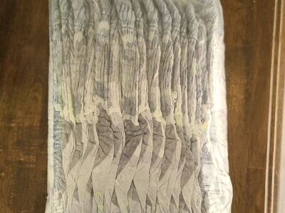 Ninjamas Pull-ups Large