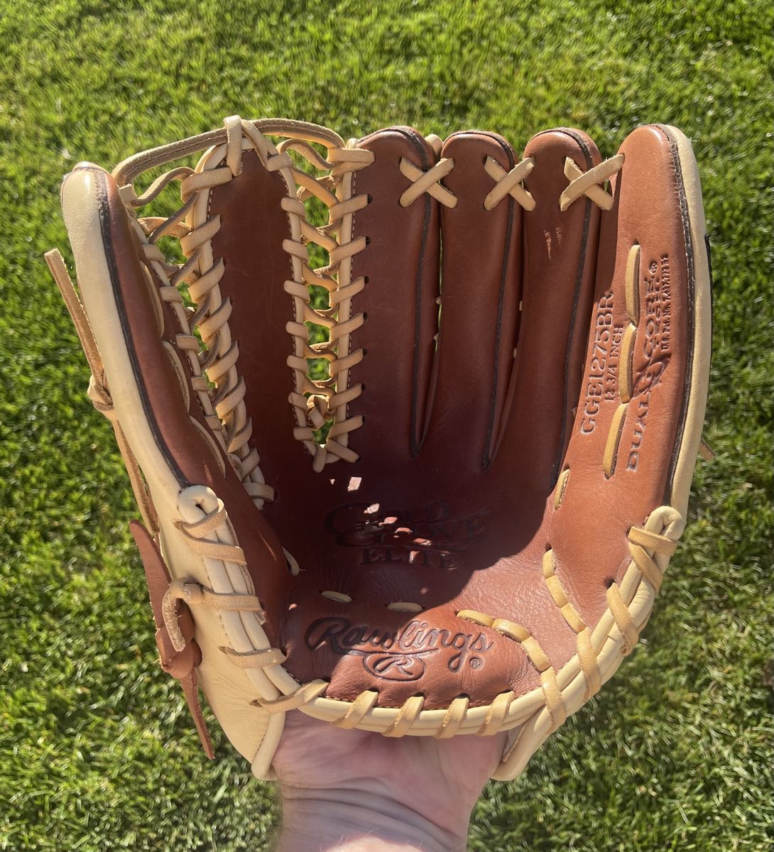 Rawlings Gold Glove Elite 12.75 in. Baseball/Softball Glove