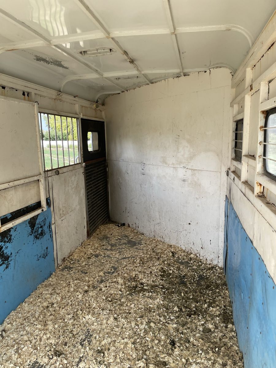 Main image 7