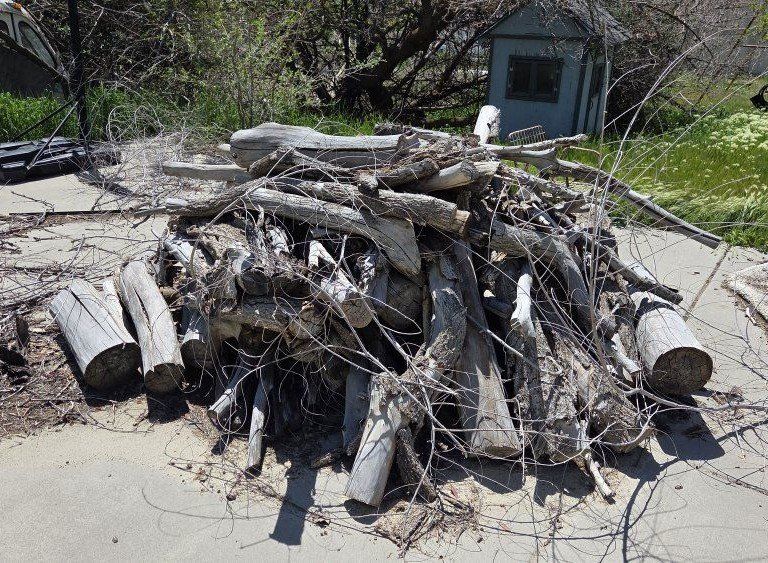 Free firewood