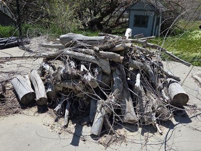 Free firewood