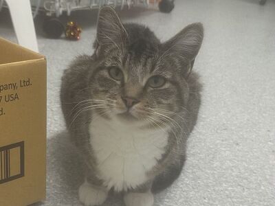 Hello my name is Amazon