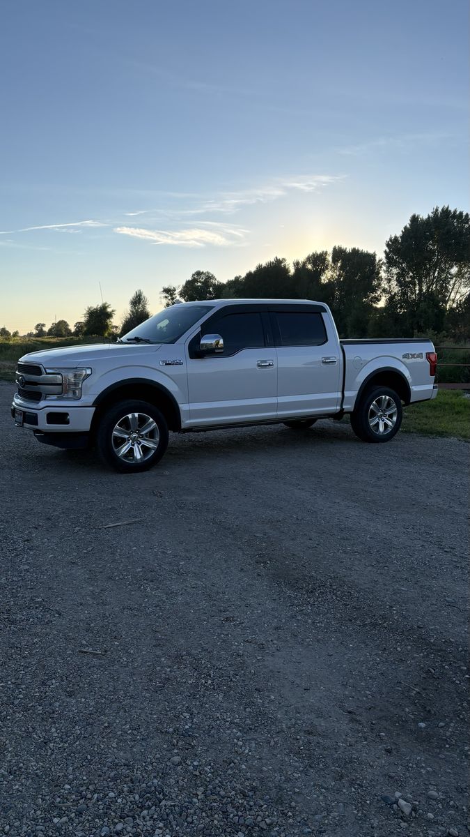 2019 Ford F-150 Platinum