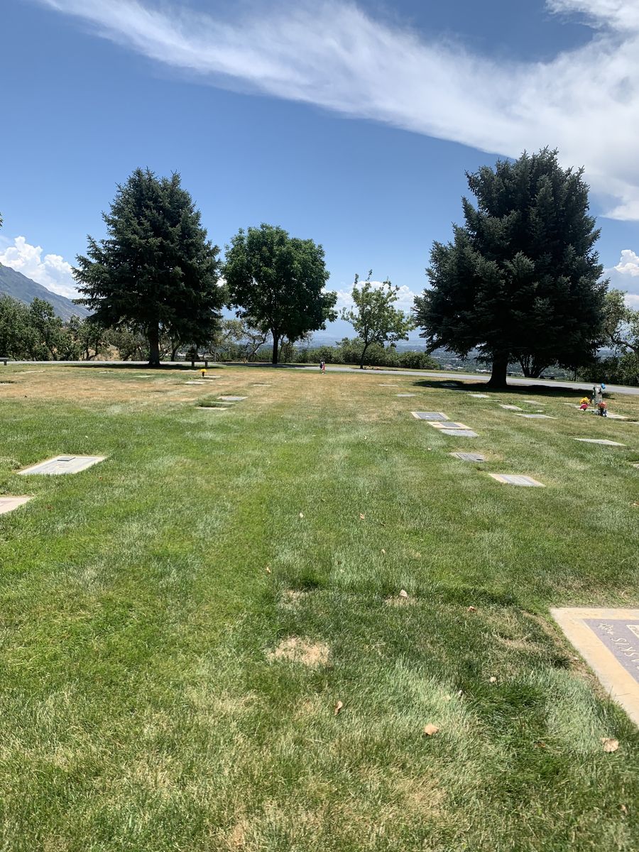 Main image 12