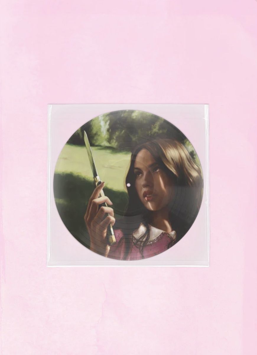 Olivia Rodrigo–You Seem Pretty Sad For A Girl So In Love Exclusive “Carve Our Names” Picture Disc Vinyl-Limited Edition-NEW