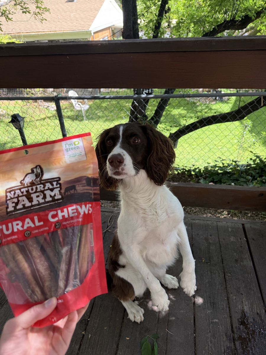 Bully Sticks 6in 15count