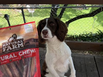 Bully Sticks 6in 15count