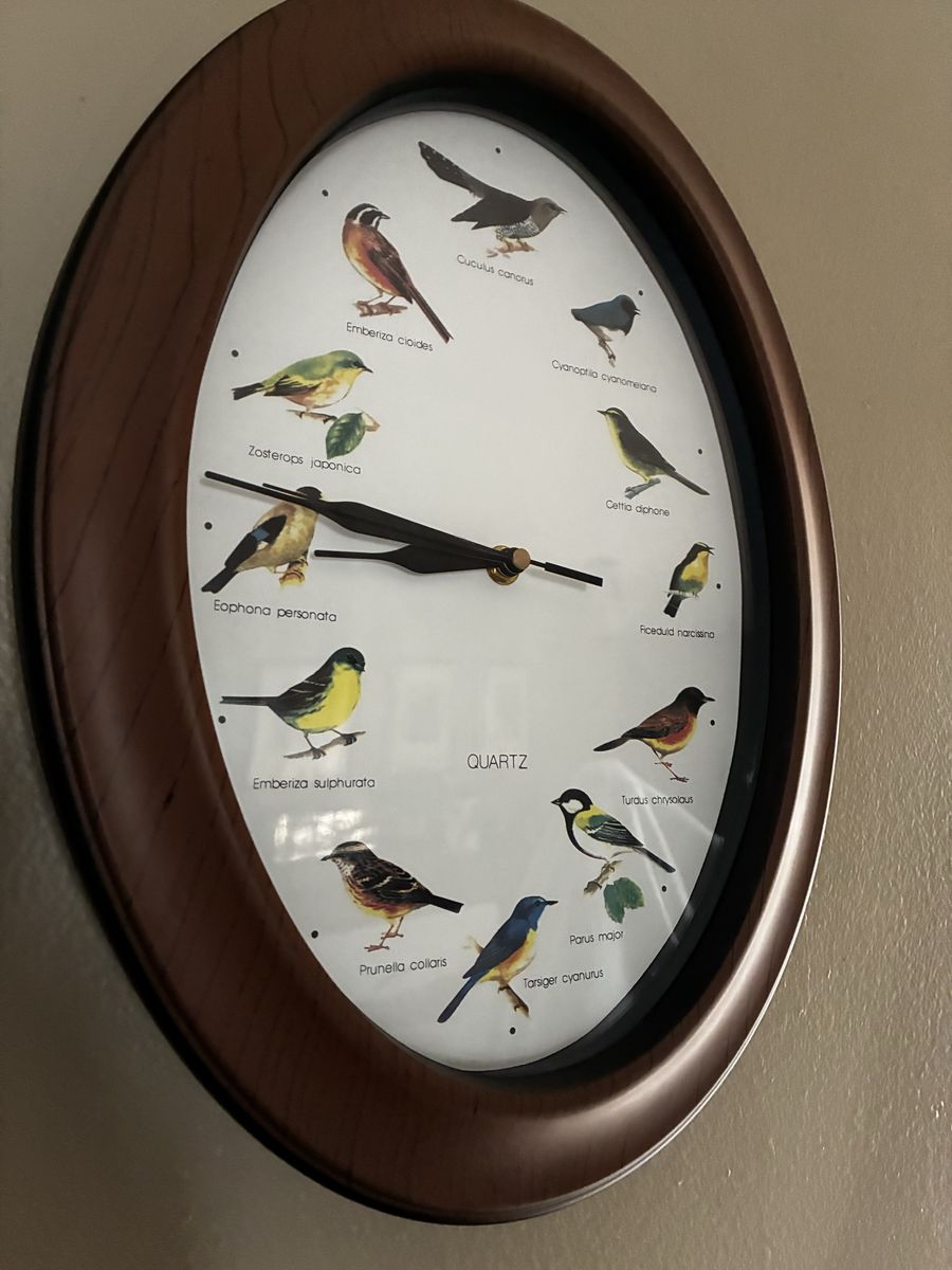 Vintage Oval Quartz Wall Clock with Bird Illustrations, bird calls