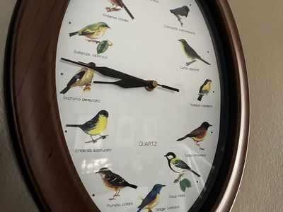 Vintage Oval Quartz Wall Clock with Bird Illustrations, bird calls