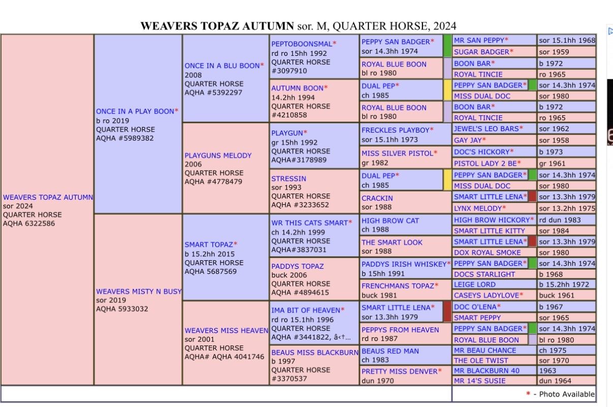 Main image 3