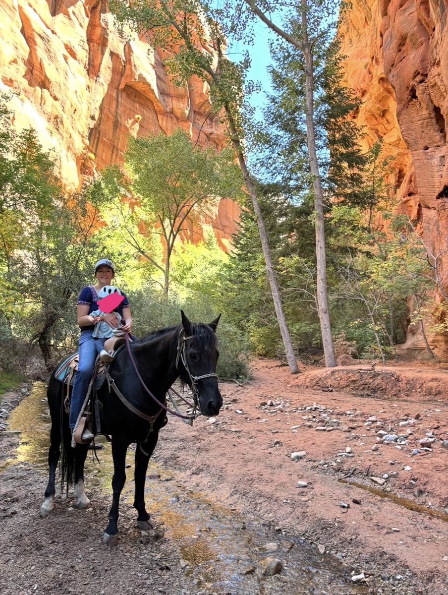 Tennessee Walker