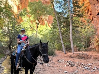 Tennessee Walker