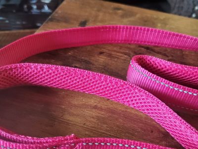 2 LEASHES. 1 Long Regular used & 1 Short lead