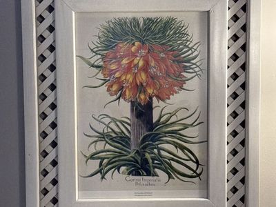 Botanical Print