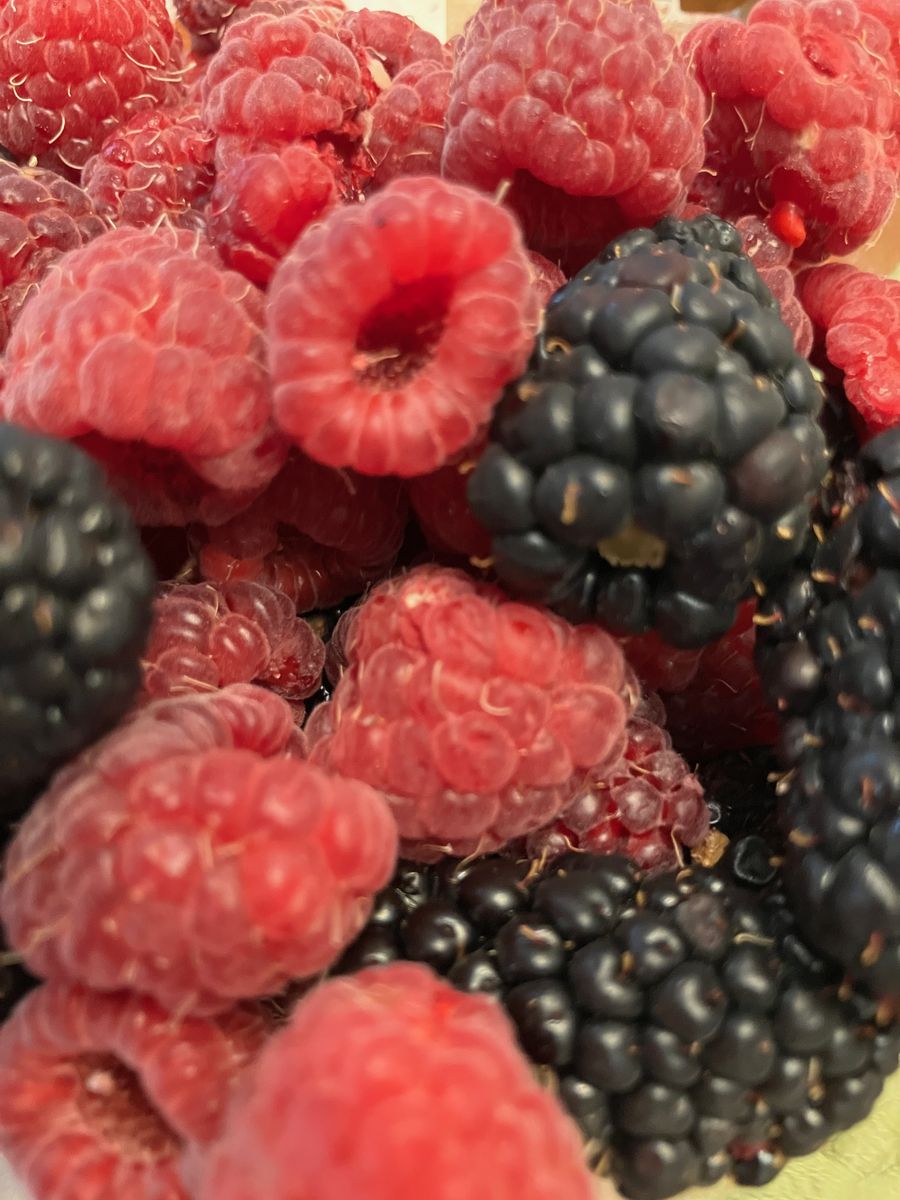 Berries! Organic U-Pick Blackberries + Raspberries