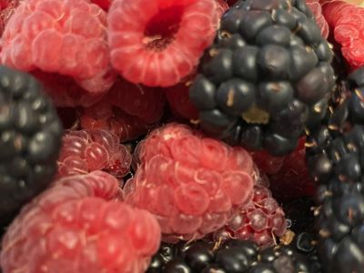 Berries! Organic U-Pick Blackberries + Raspberries